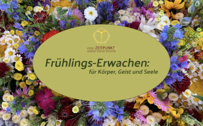 Aktion: Frühlings-Erwachen, dein Reset